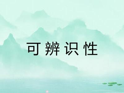 可辨识性