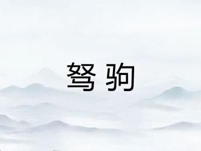 驽驹