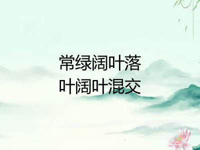 常绿阔叶落叶阔叶混交林
