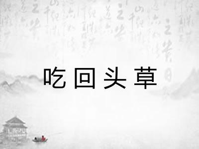 吃回头草