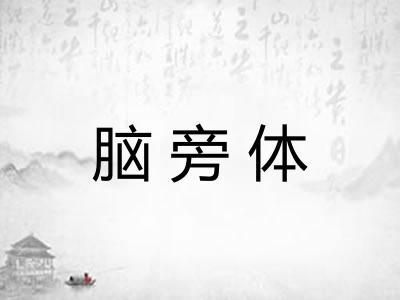脑旁体
