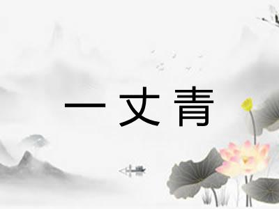 一丈青