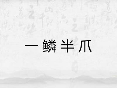 一鳞半爪