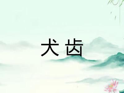 犬齿 犬齿