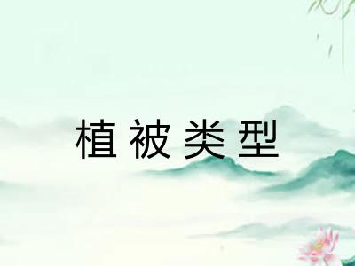 植被类型