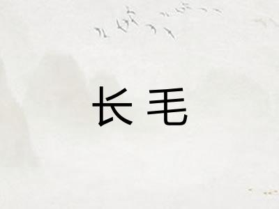 长毛