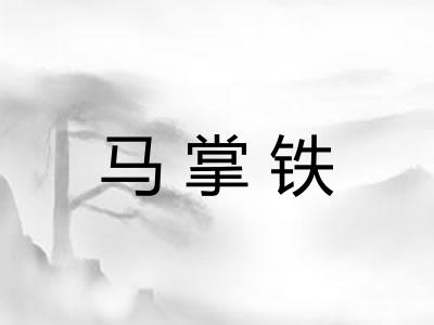 马掌铁
