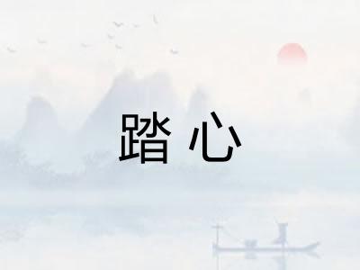 踏心