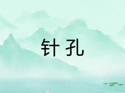 针孔