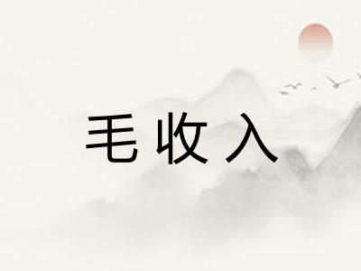 毛收入