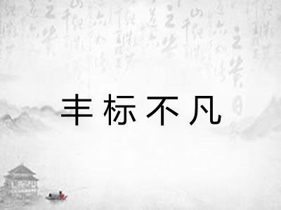 丰标不凡