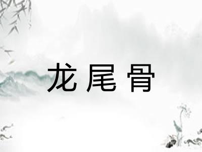 龙尾骨 龙尾骨