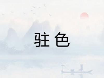 驻色