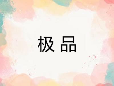 极品 极品