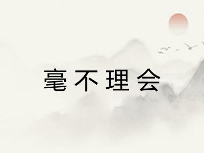 毫不理会