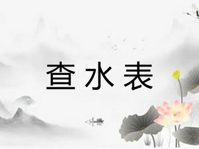 查水表