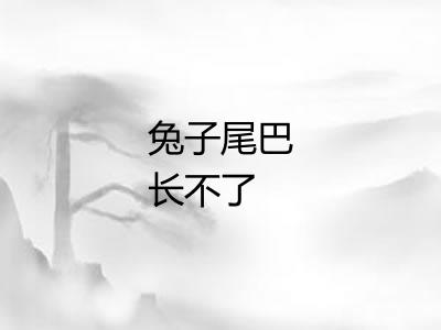 兔子尾巴长不了