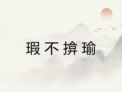 瑕不揜瑜
