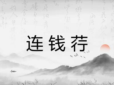 连钱荇