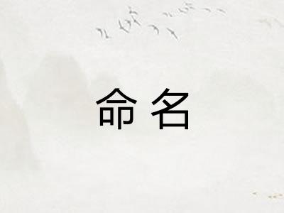 命名