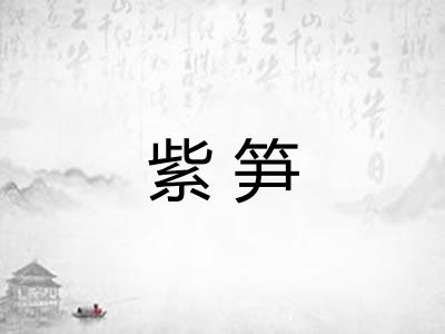 紫笋 紫笋