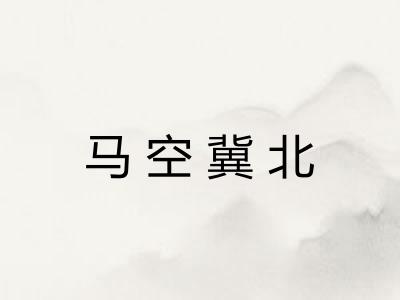 马空冀北