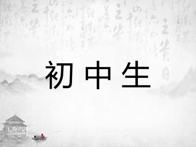 初中生