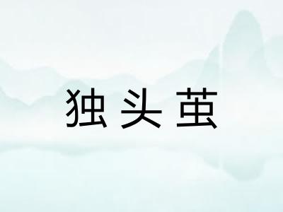 独头茧