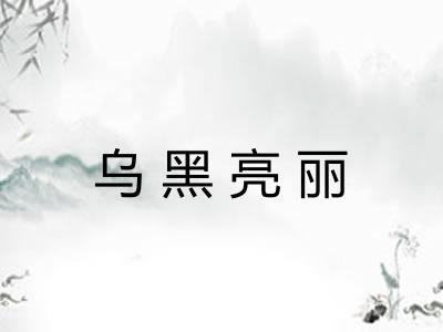乌黑亮丽 乌黑亮丽