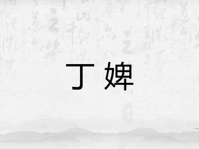 丁婢