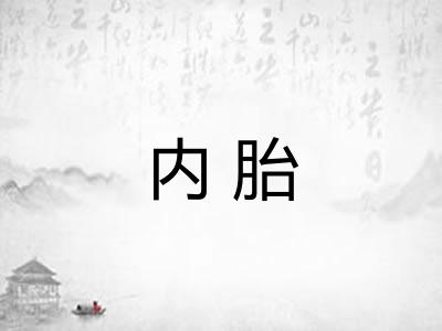 内胎