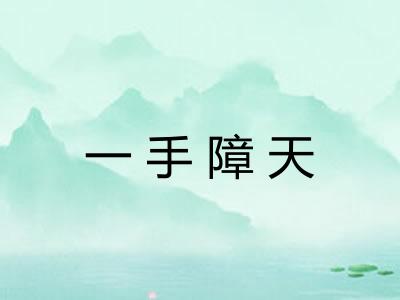 一手障天