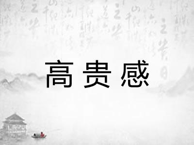 高贵感