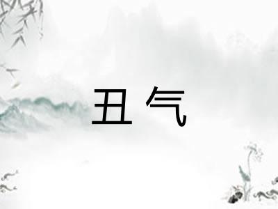 丑气