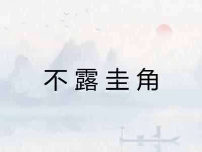 不露圭角