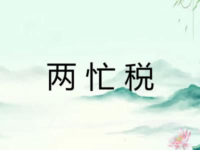 两忙税