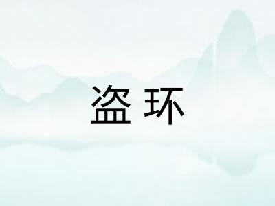 盗环