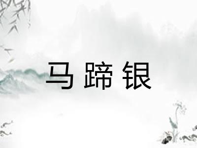 马蹄银