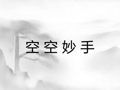 空空妙手