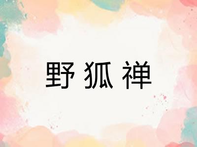 野狐禅 野狐禅