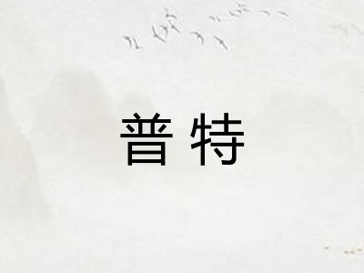 普特