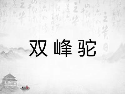 双峰驼
