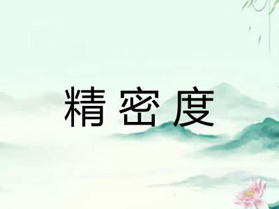精密度