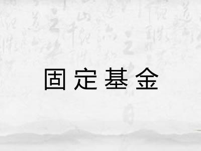 固定基金