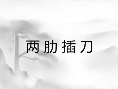 两肋插刀