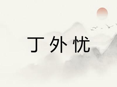 丁外忧 丁外忧