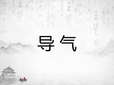 导气