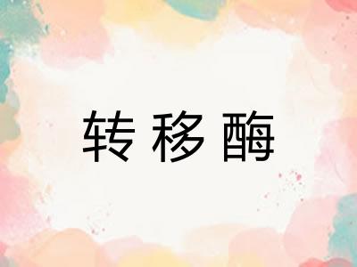 转移酶