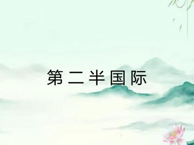 第二半国际