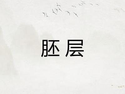 胚层